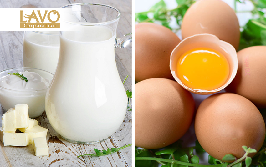 Bí Quyết Dưỡng Và Phục Hồi Tóc Hư Tổn Tại Nhà