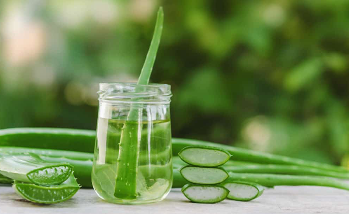 Hết Ngay Tình Trạng Rụng Tóc Trong Mùa Thu Với Mẹo Đơn Giản