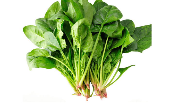 Tất Cả Các Thực Phẩm Giúp Tóc Bạn Nhanh Dài, Dày Và Óng Mượt