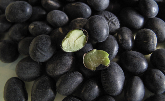 Công Thức Trị Tóc Bạc Sớm Với Đỗ Đen